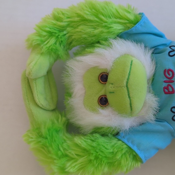 Fiesta Plush Get Well Soon Hanging Monkey Green - Picture 14 of 14